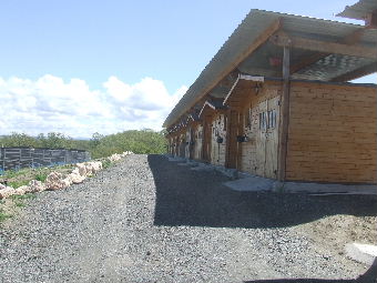 chalets de la pension pour chiens des pas des betes