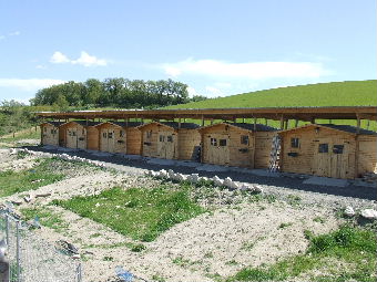 chalets de la pension pour chiens des pas des betes