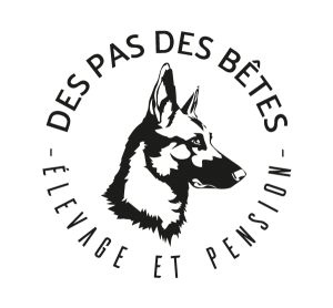 Logo pension et elevage des pas des betes