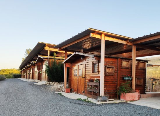 chalet chat