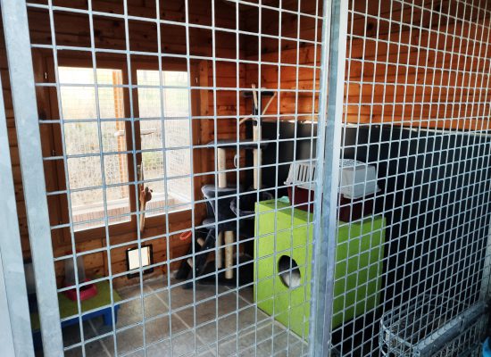 intérieur chalet chat