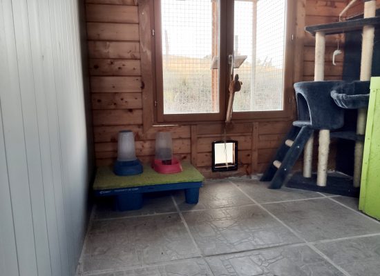 intérieur chalet chat des pas des betes 2