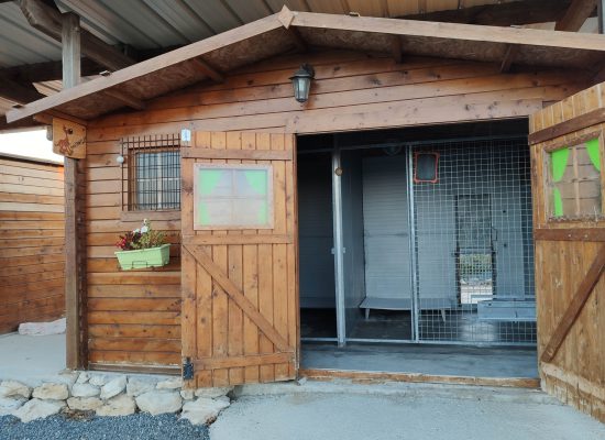 intérieur chalet chien 1