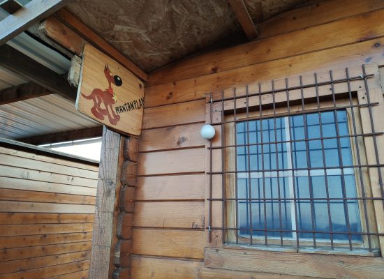 détail chalet chien
