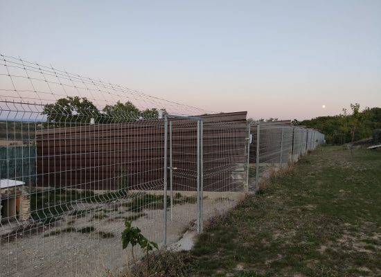 parc détente chien